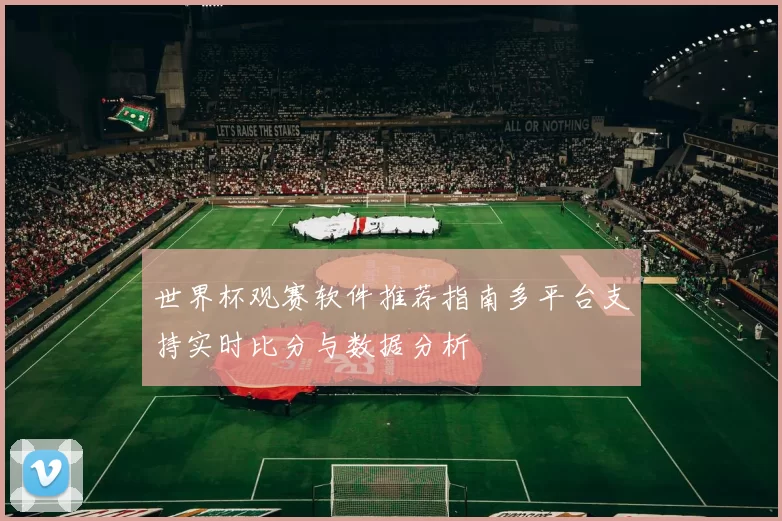 世界杯观赛软件推荐指南多平台支持实时比分与数据分析