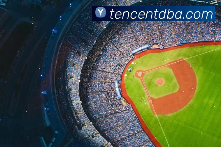 App Interface Preview